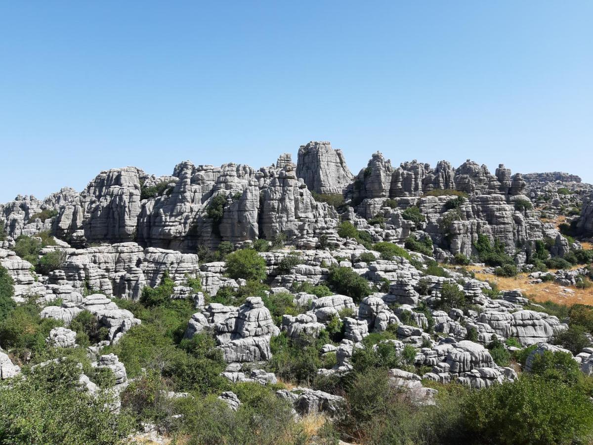 Casa Lo Pinto Private Pool Villa South Of El Torcal -Unesco- 라호야 외부 사진
